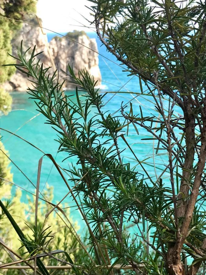 伊特里Appio Claudio Tre住宿加早餐旅馆 外观 照片